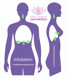 Are Hypopressives Beneficial for Pelvic Floor...