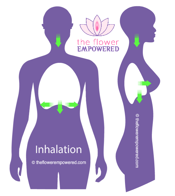 Are Hypopressives Beneficial for Pelvic Floor...