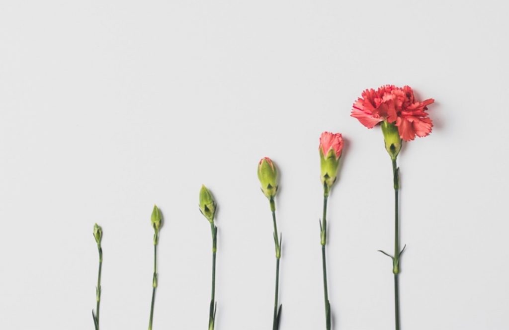The study concluded that a flexible, safe, and creatively engaging environment fostered personal growth and wellbeing.